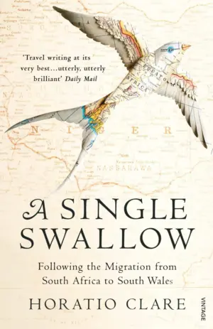 Cover for "A Single Swallow"