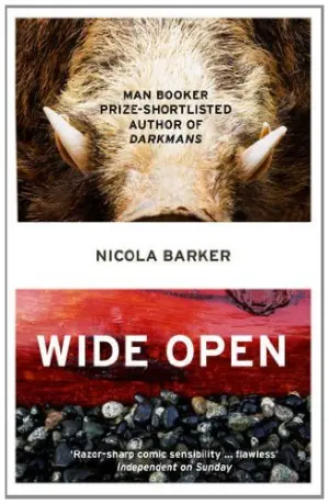 Cover for "Wide Open"