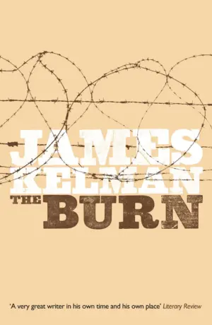 Cover for "The Burn"