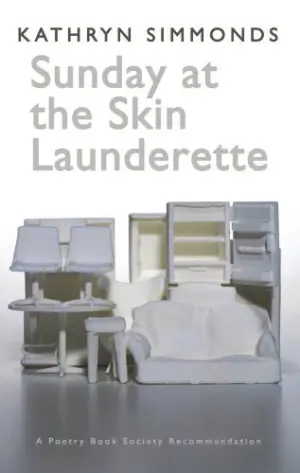 Cover for "Sunday at the Skin Laundrette"
