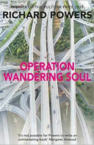 Cover for "Operation Wandering Soul"