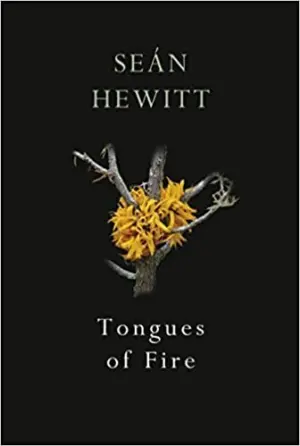 Cover for "Tongues of Fire"
