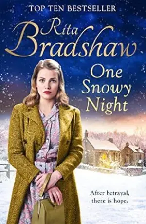 Cover for "One Snowy Night"