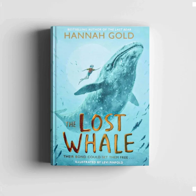 Lost whale grey 1